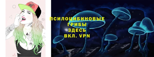 apvp Алексеевка