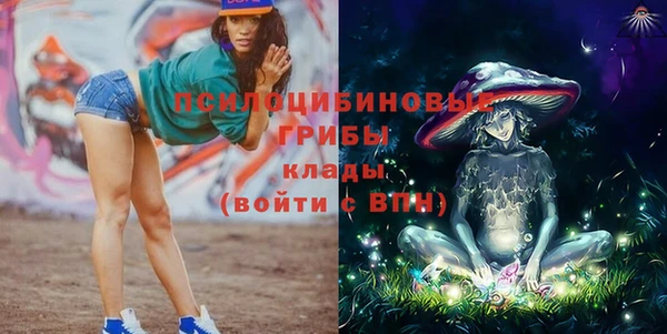 apvp Алексеевка