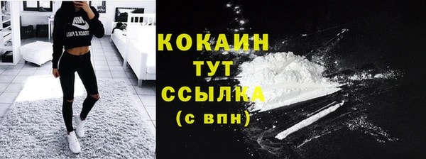 apvp Каменка