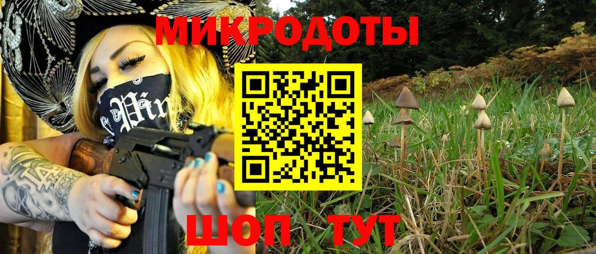 Псилоцибиновые грибы GOLDEN TEACHER Раменское