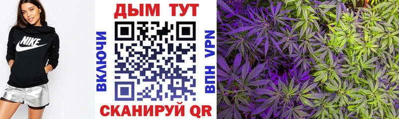 Бошки Шишки Ganja  Раменское 